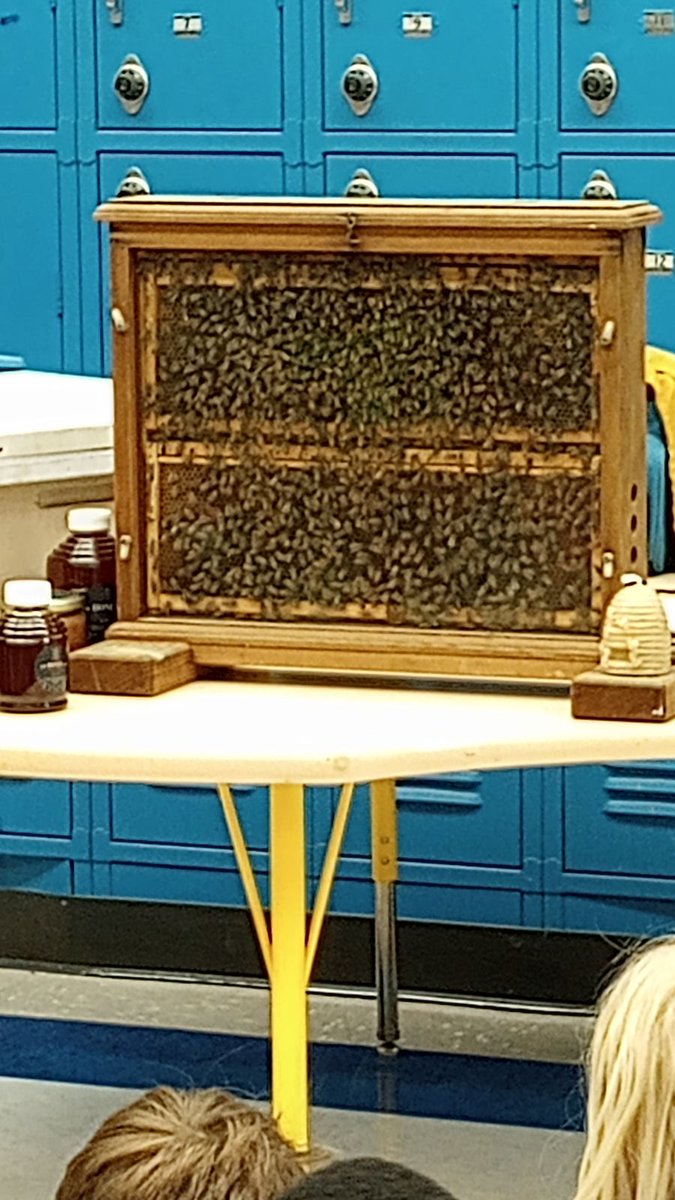 @Dinger_RES tweet media