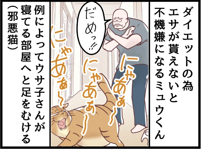 エサへの欲求は正しい判断力も奪ってしまう笑

https://t.co/gxwb7aJ7Ceからまだ未公開の最新話を読むことができます!  #ニャンコ #まんが #猫 #猫あるある #猫漫画 #ペット #飼い主 #エッセイ漫画 #キャット #猫のいる暮らし 