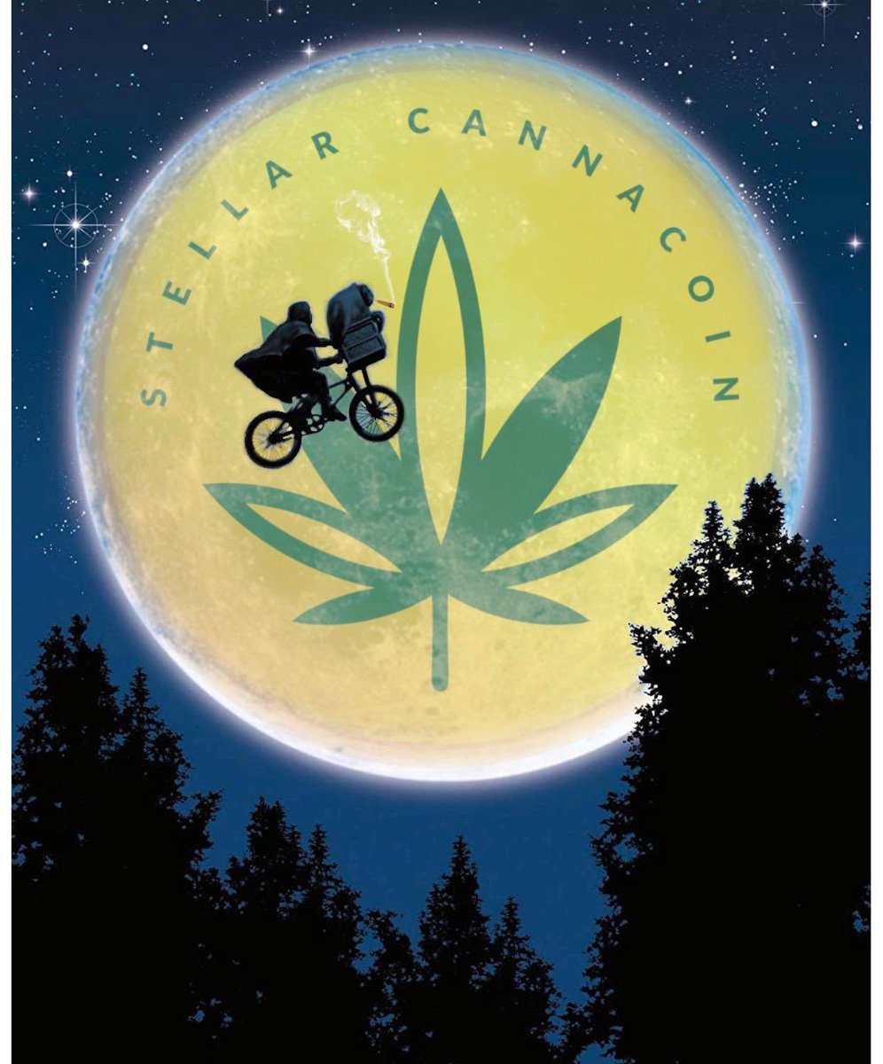 Burnsivxx tweet media