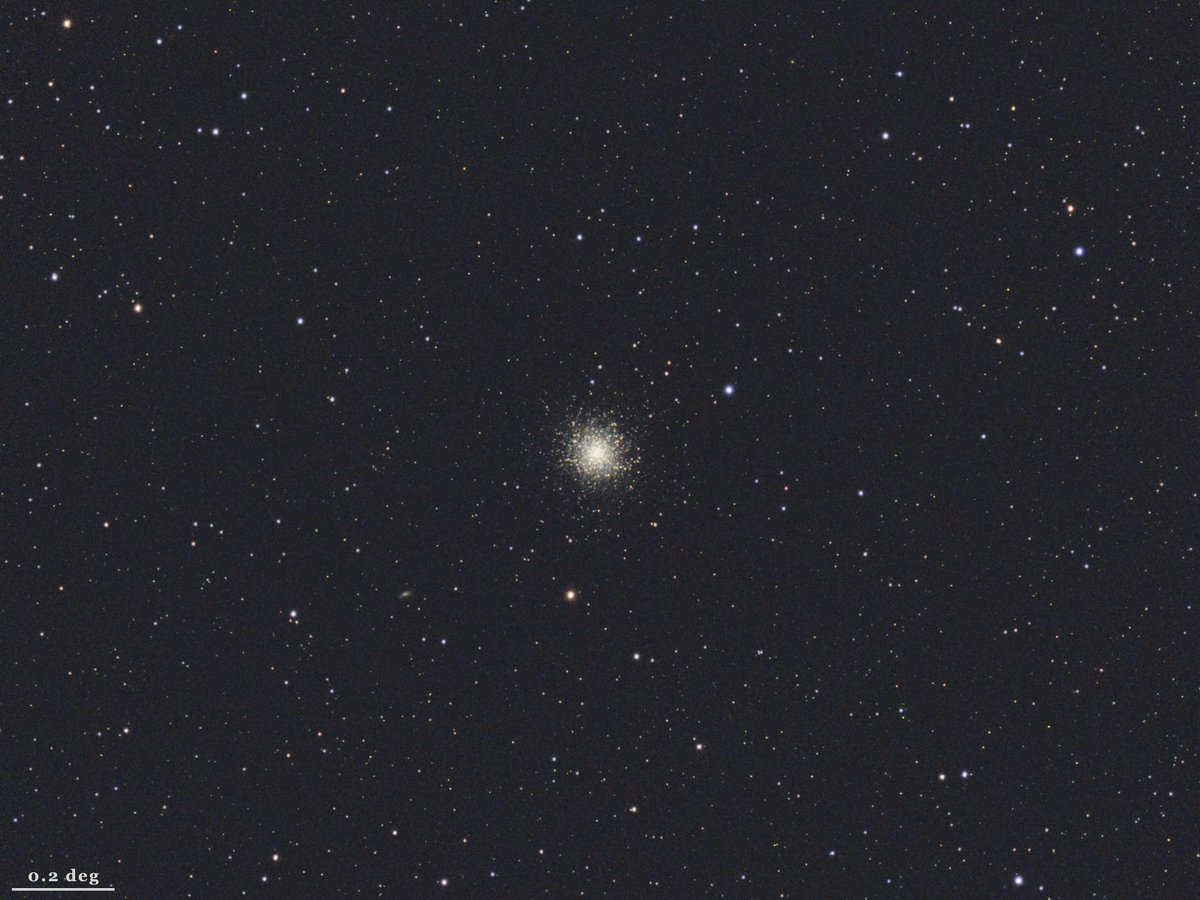 [Final image] Great Globular Cluster in Hercules (M13, NGC 6205) Date: March ~ April 2024 Location: Bunkyo-ku, Tokyo, Japan (Bortle 9) Imaging Camera: Vaonis Vespera I Sampling: 2.99 arcsec/pixel Integration: 8 hrs 02 mins 10 secs Sub-Frames: 2,833 Processed by Siril and Photos