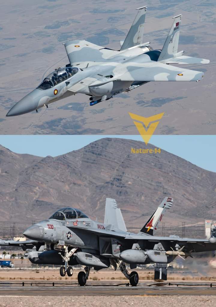 F-15E & F/A-18F 🦅,..,,...🇵🇰🇵🇰