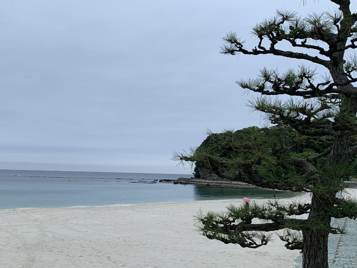 今朝夫と和歌山県に到着。紀伊山地の霊場と参詣道でハイキング🥾と見学⛩️は楽しみにしています。 最初に白浜の美しい海岸を訪れました。