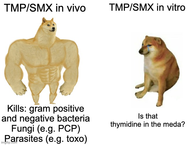 VÆmpiric 🦇- An Antibiotic Card Game (@empiricgame) on Twitter photo 