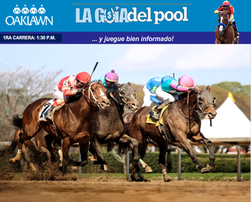 Valentine Candy de regreso a pista donde está invicto (3-3), para el campeón Steve Asmussen en el Bachelor Stks @OaklawnRacing el sáb 27 de Abril, luego de caer en intento sobre la sintética de Turfway Park.
Lista la descarga gratuita de La Guía del Pool:
drive.google.com/file/d/1C9YGvn…