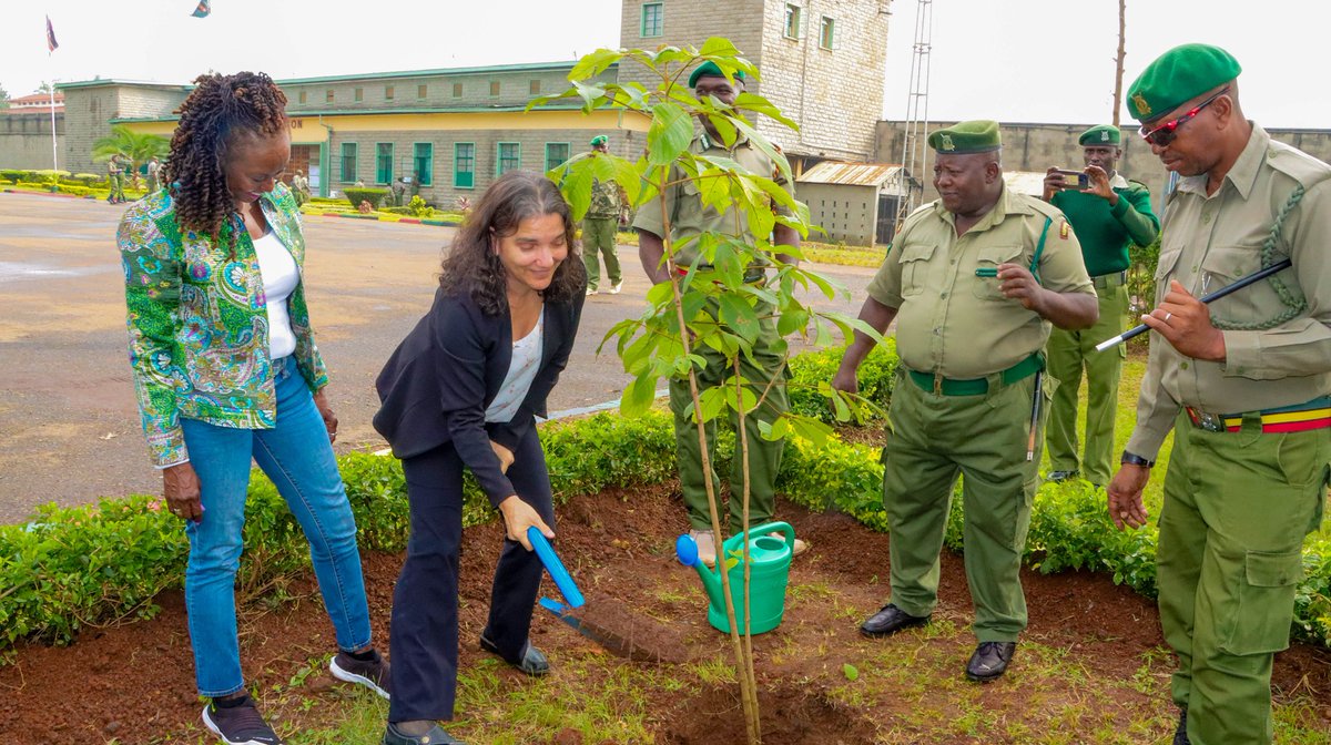 LVCT Health's STAR Project hosted CDC Program Director, Division of Global HIV and TB (DGHT) Dr. Jennifer Galbraith, who visited Kamiti Maximum Prison to assess the integration of comprehensive HIV/TB prevention services within the Kenyan Prison Service.
#STARProject
#CDCVisit
