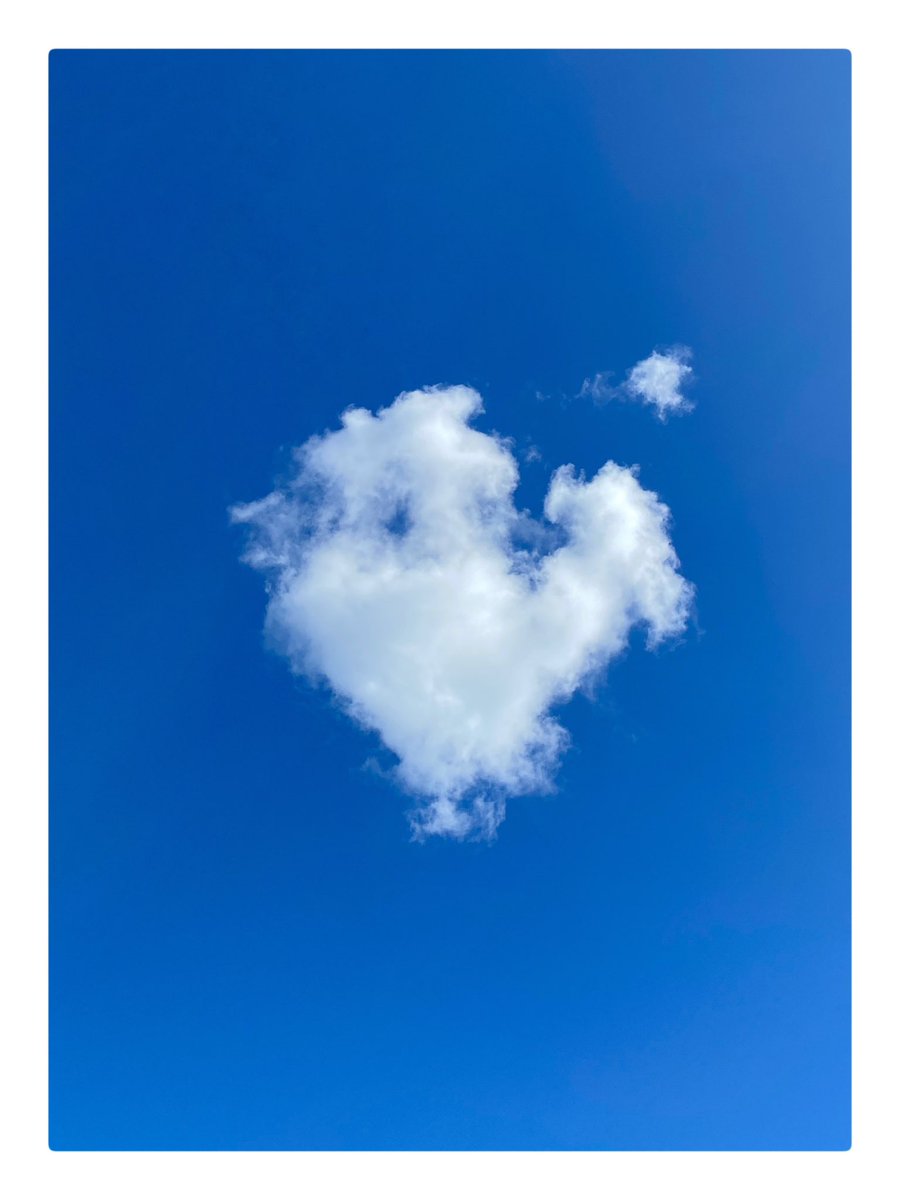 Spring, Edinburgh - April 2024 #spring #edinburgh #scotland #bluesky #cloud #visitscotland #scotlandisnow