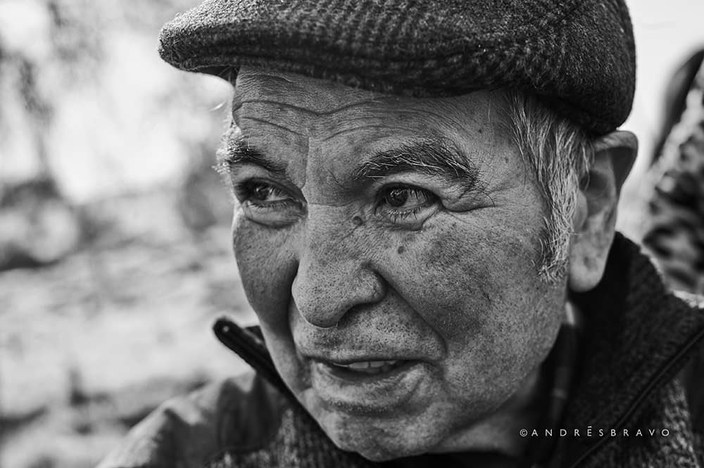 PIENSAPRENSA 360 mil Seguidores tweet media