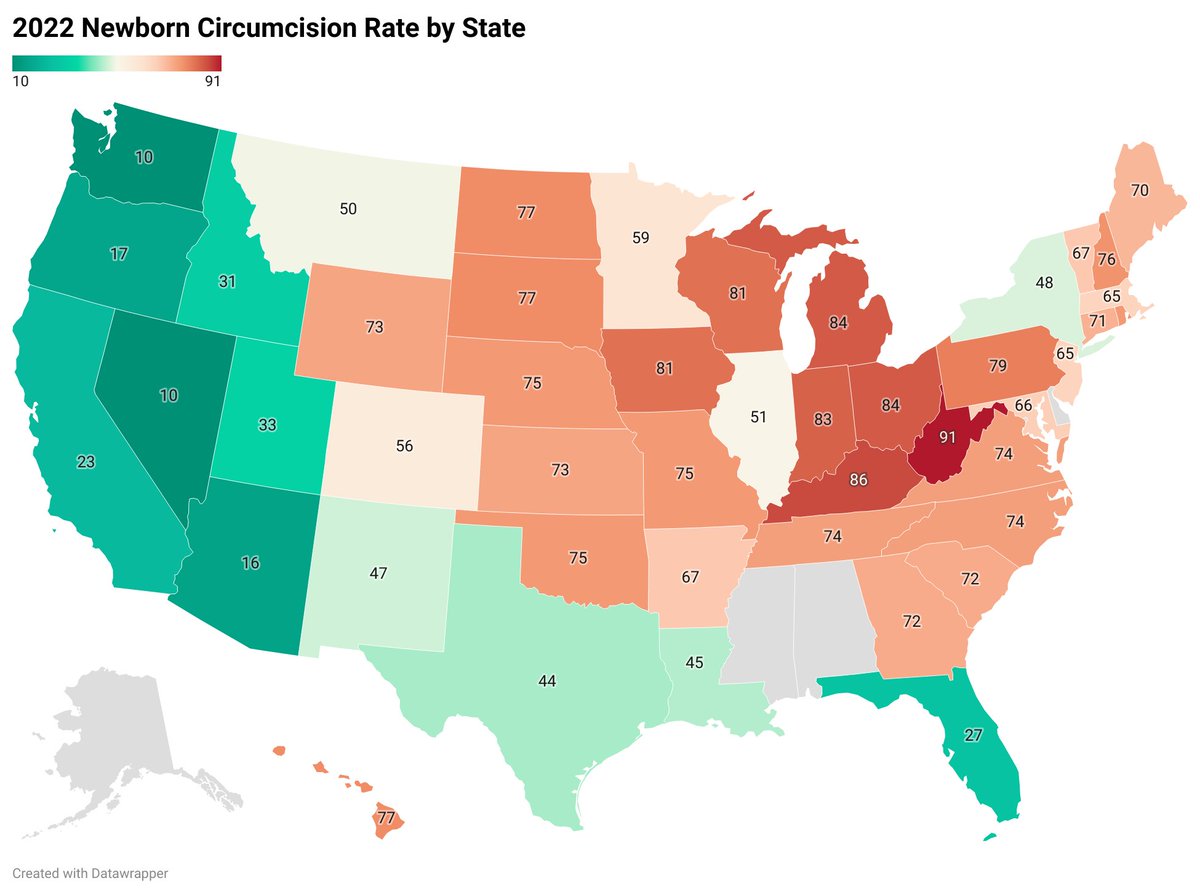 2022 newborn circumcision rate by state