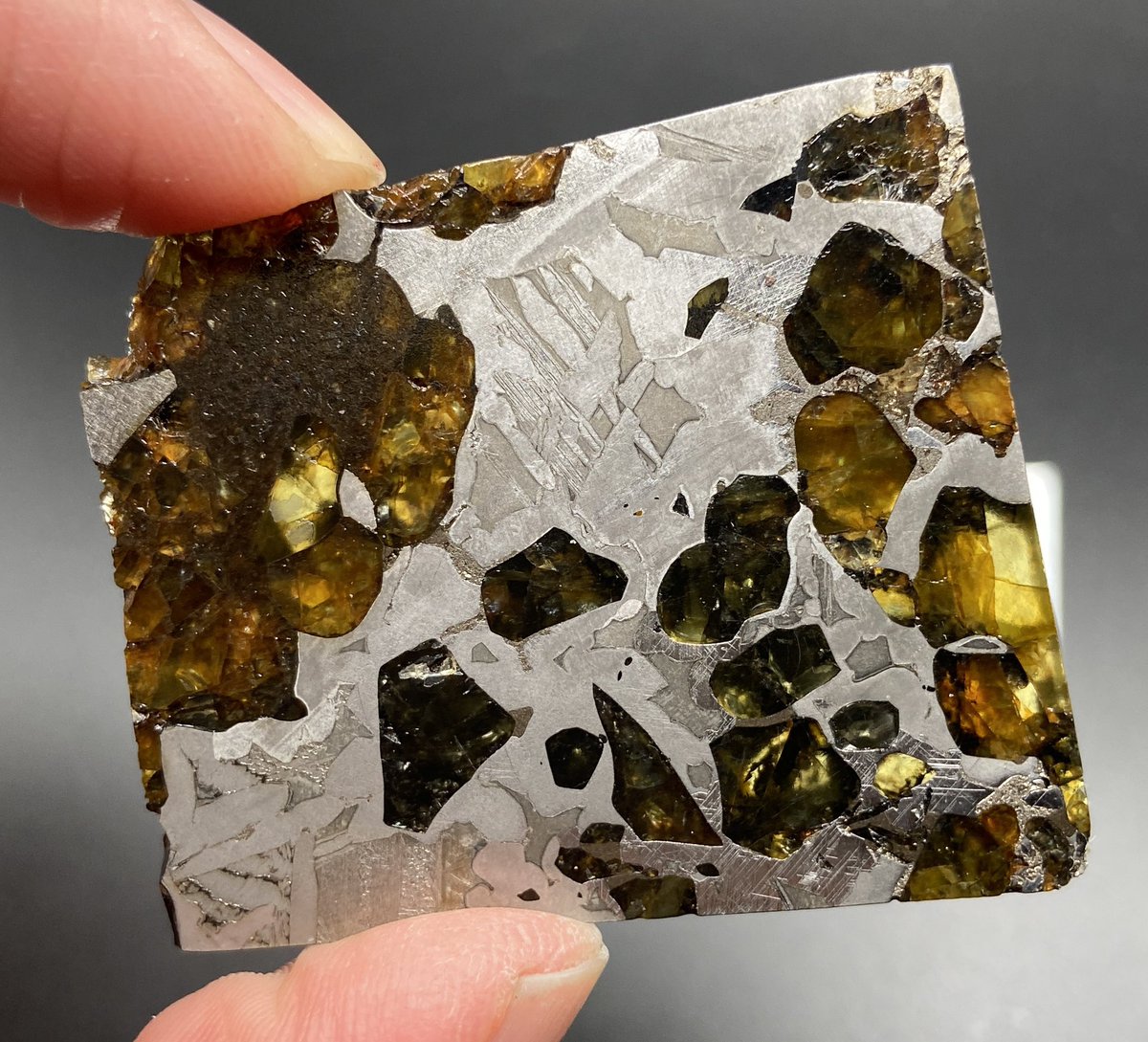 A slice of the Seymchan pallasite meteorite, featuring crystals of olivine in iron-nickel. From the mantle-core boundary of planetesimals. Pallasite are named after naturalist Peter Pallas (Pallas cat) who studied a specimen in 1772.