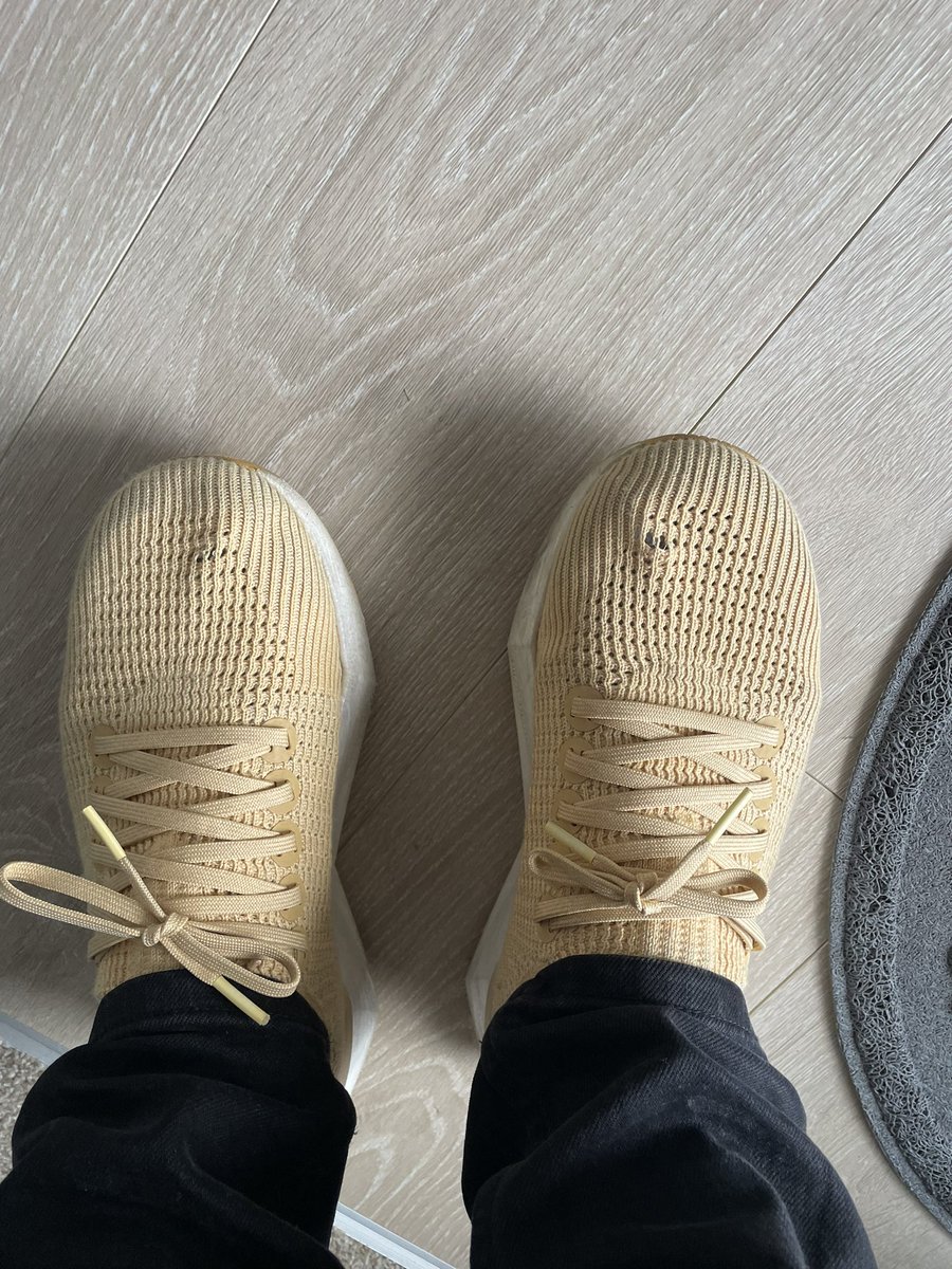 Aylon133's tweet photo. @Allbirds hey, I’ve only had these for 6 months - thanks for the email reminder! I love them, but disappointed these holes by my big toe are showing. Makes them look much older and worn than they are. 

I’d expect running shoes to look like this after a few years. Not 6 months 🥲 https://t.co/4cy7Kz62A7