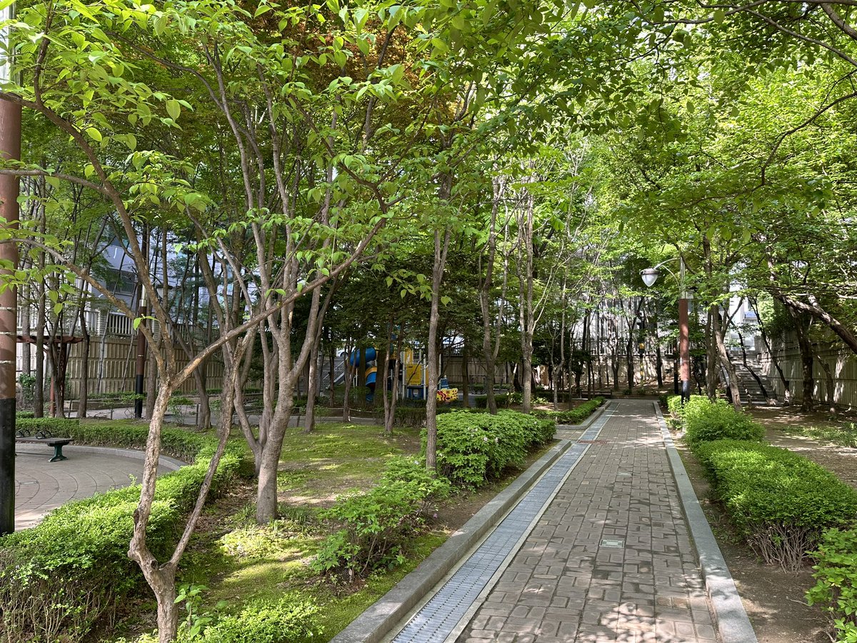 1990년대 초에 지어진 아파트 단지의 초여름 녹음