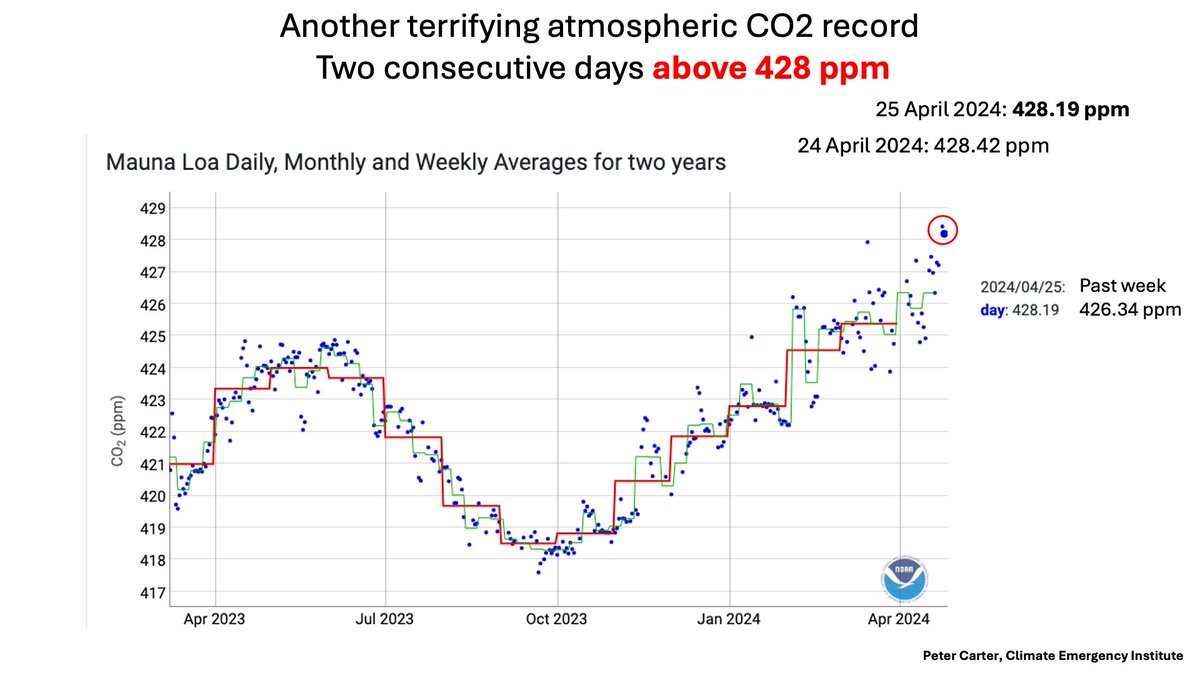 CO2 ABOVE 428 ppm 2 DAYS IN ROW - NEW RECORD 25 April: 428.19 ppm, 24 April: 428.42 ppm. Two consecutive days above 428 ppm Past Week 426.34 ppm (NOAA) It's OK to be terrified Spurs action. gml.noaa.gov/ccgg/trends/gr… #CO2 #climatechange #globalwarming