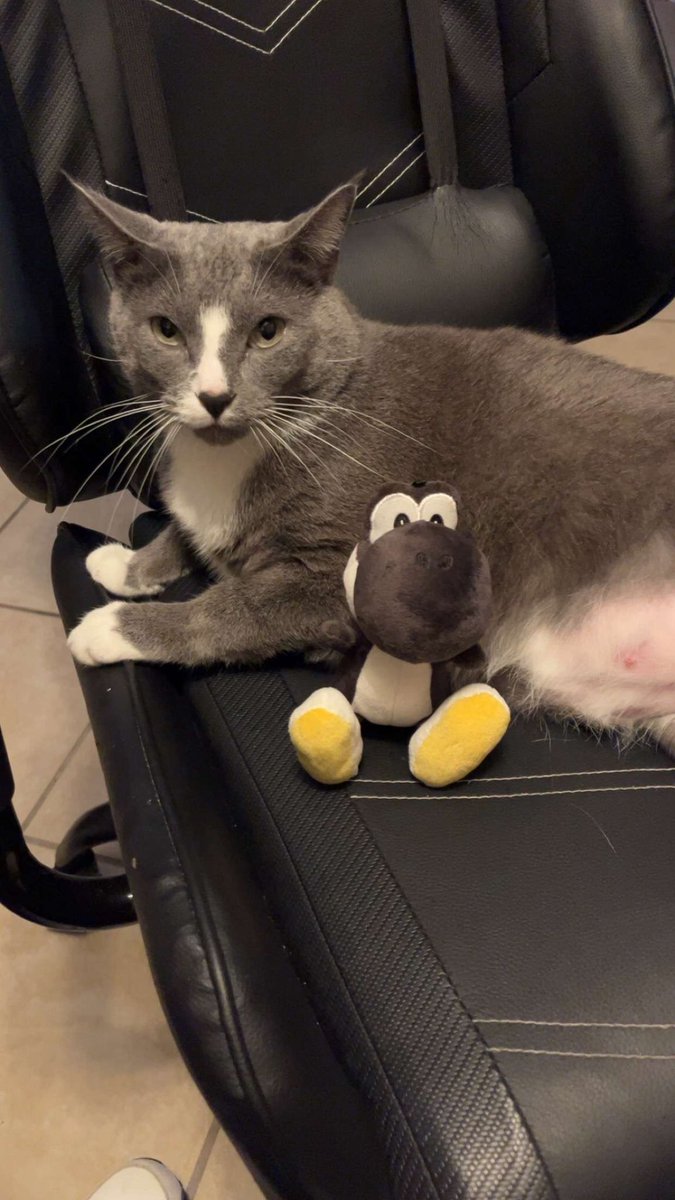 FATTY BOY AND BLACK YOSHI