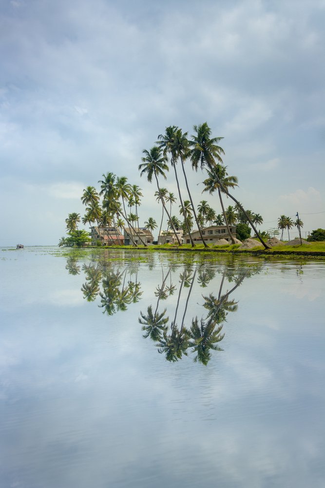 Ashtamudi lake, Kollam, Kerala 🌴