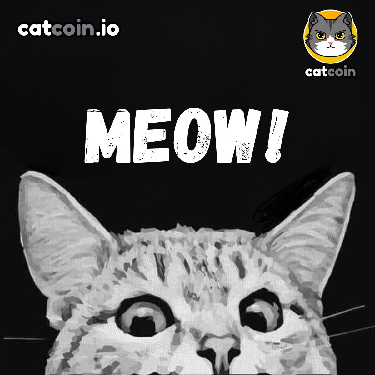 Official Catcoin (@officialcatcoin) on Twitter photo It's #Caturday meow! $15
• Follow <a href="/officialcatcoin/">Official Catcoin</a>
• Retweet
• And comment #Catcoin #USDT #giveaway
24 hours It's #Caturday meow! $15
• Follow <a href="/officialcatcoin/">Official Catcoin</a>
• Retweet
• And comment #Catcoin #USDT #giveaway
24 hours