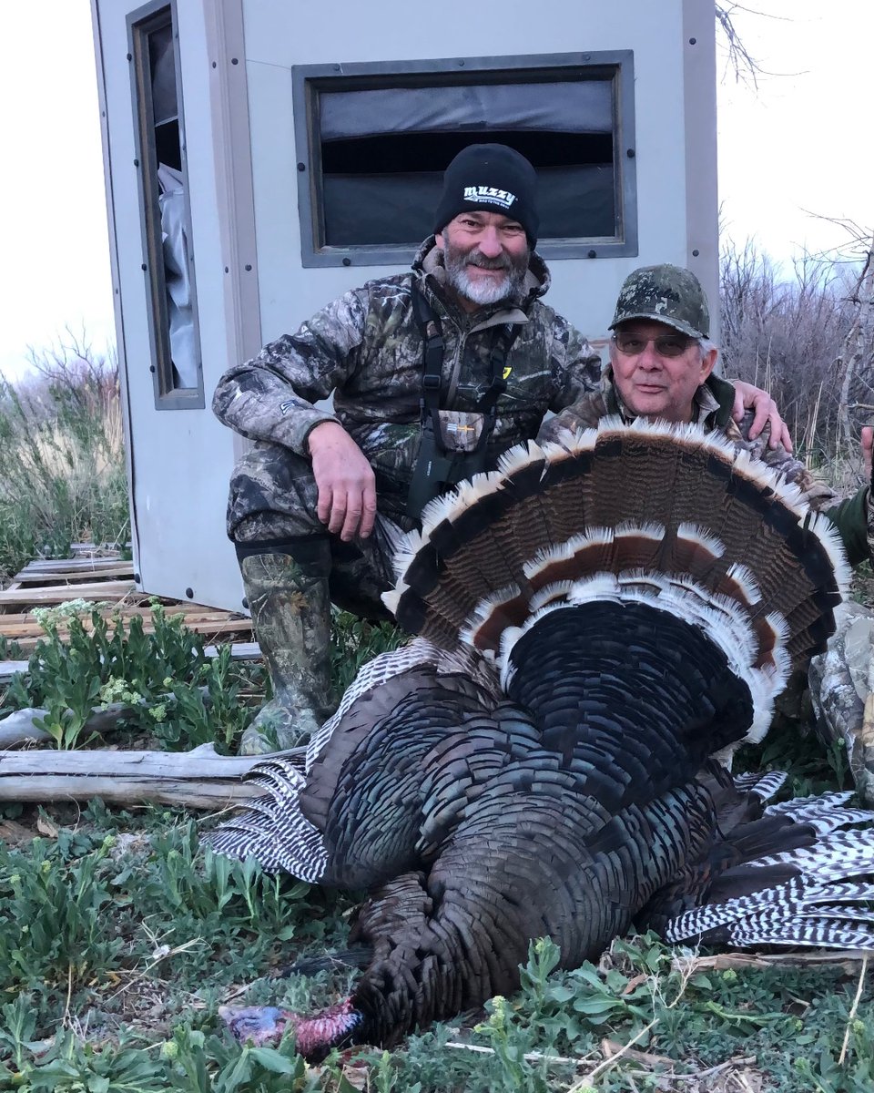 FredEichler's tweet photo. Mark put Lindell on this beautiful Merriams gobbler here at Fulldraw Outfitters!

#fulldrawoutfitters #fredeichler #turkey #turkeyhunt #gobbler #merriams #longbeard #muddyblinds #muddy #GoMuddy #gsmoutdoors https://t.co/cSTRGsqZxc
