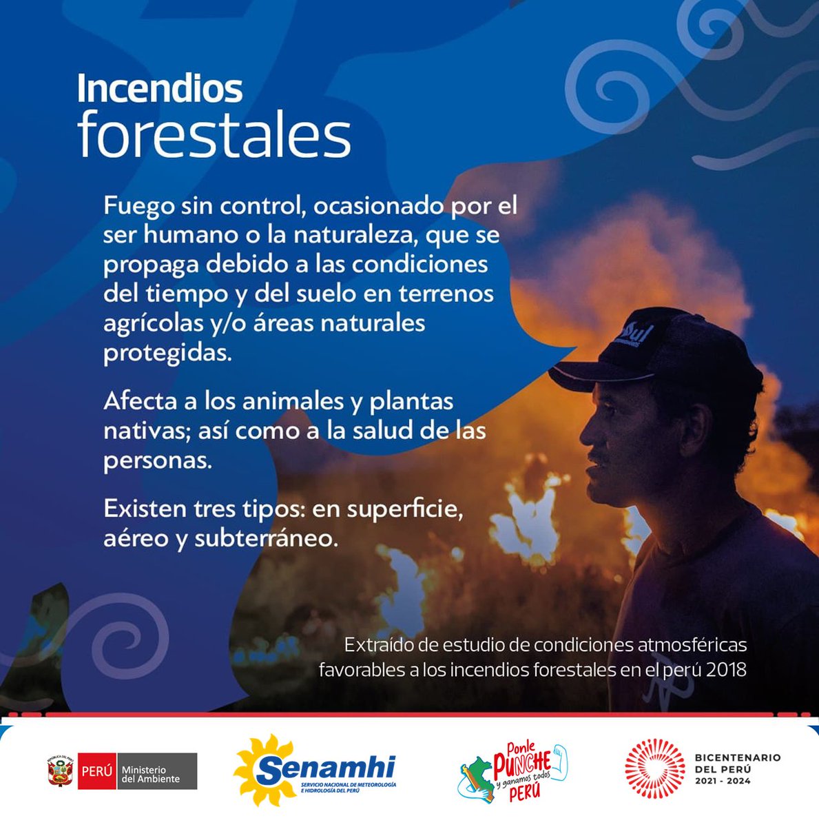 #AprendeConElSenamhi Existen tres tipos de incendios forestales: de superficie, aéreo y subterráneo. Conoce las zonas probables de ocurrencia en este enlace senamhi.gob.pe/site/incendio/