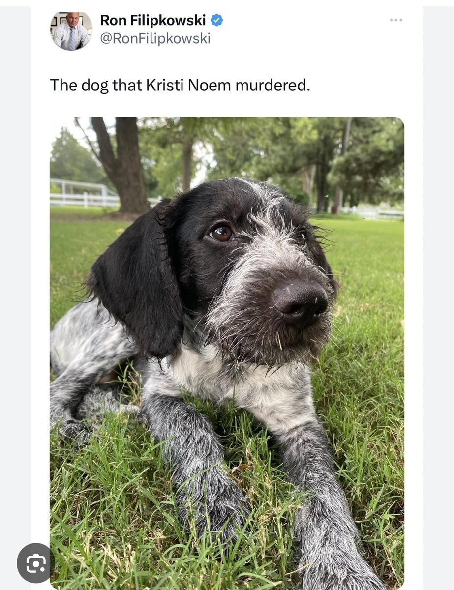 I hate Kristi Noem with the heat of a million suns. #PuppyKiller