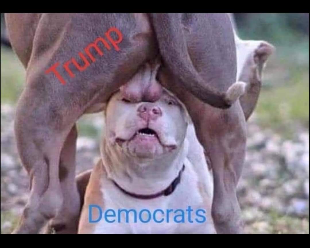 Sassafrass84 tweet media