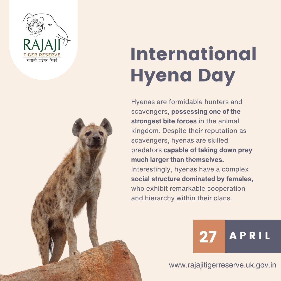 #InternationalHyenaDay                             #rajajitigerreserve