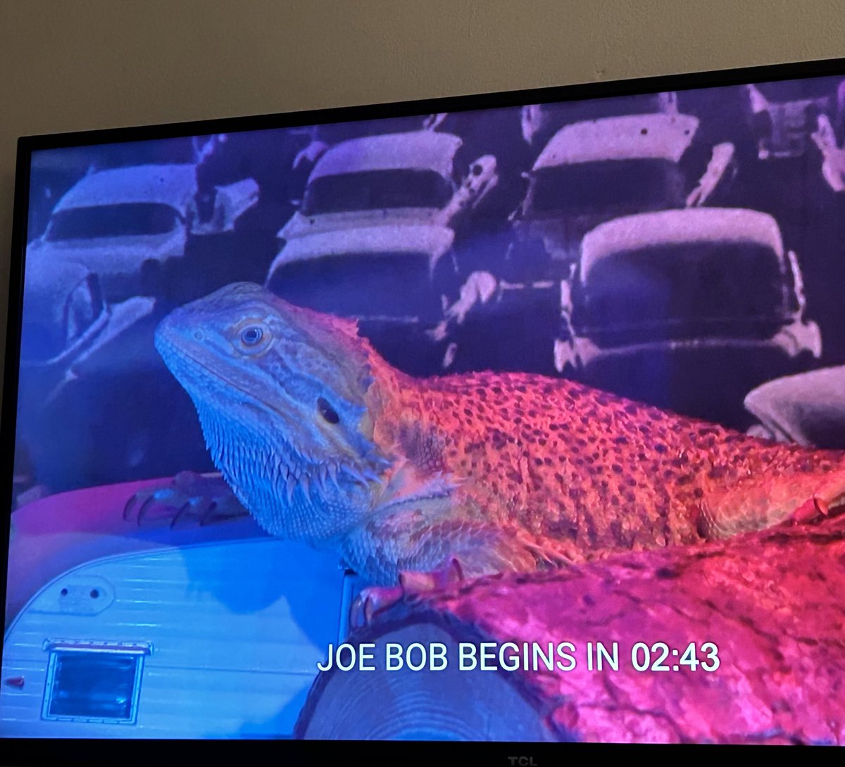 #TheLastDriveIn ✨