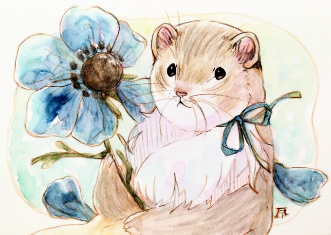 「hamster white background」 illustration images(Latest)