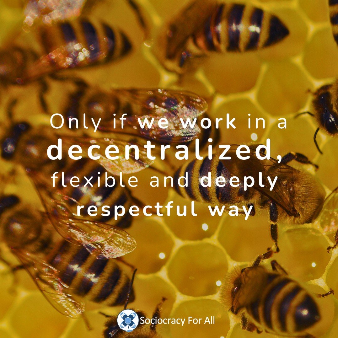 Sociocracy4All's tweet image. Embracing decentralization, flexibility, and profound respect - the keys to navigating the intricate tapestry of our realities. 🌟 #EmbraceComplexity #DecentralizedWork