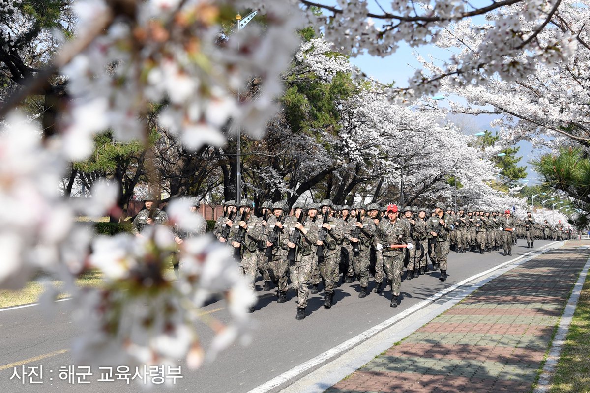 벚꽃 가득한 연병장을 달리는 해군·해병대, 대한민국의 군에도 봄이 찾아왔습니다.🌸 우리 국군이 대한민국의 봄을 지킵니다. #해군 #해병대 #국방부 #국군 #군부대 #봄 #꽃