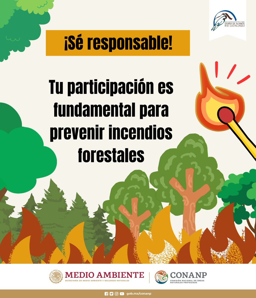 Todas y todos podemos prevenir #IncendiosForestales. 🌳🔥 Sigue estas indicaciones: 🔥 No tires cerillos o colillas encendidas. 🔥 No uses fuego en zonas forestales. 🔥 No tires basura. Si ves un incendio repórtalo al 800 737 00 00 o al 911. #PrevenirParaConservar 📲🚒👩‍🚒