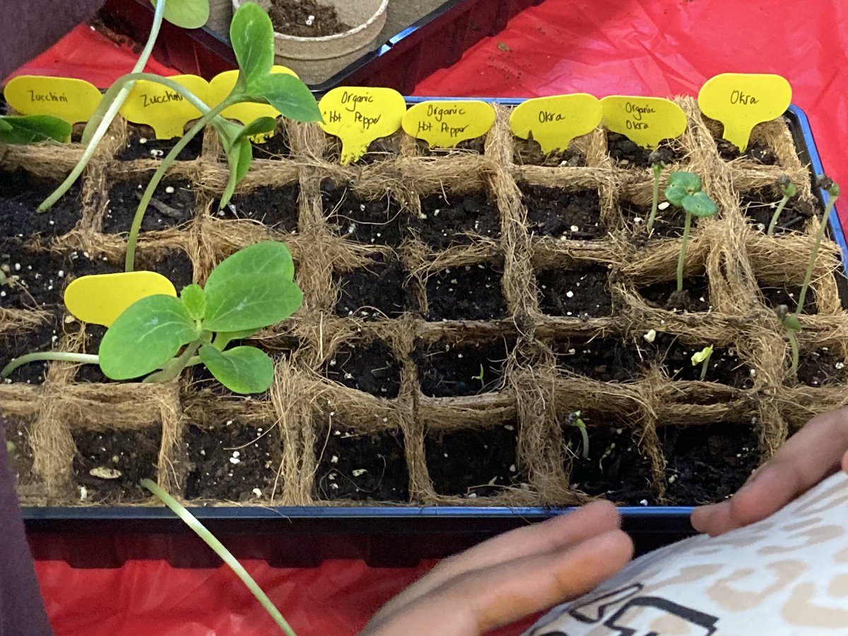 InstrucTony's tweet photo. LEIP Visit: Connecting community through gardening @stanleymillsps https://t.co/yg2OHYvq1H
