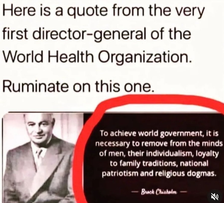 The #WEF and #WHO are our enemies. Globalism is their objective, and if you don't find that alarming, then you need to do some research. Depopulation means they want to kill 90% of you. Google it.