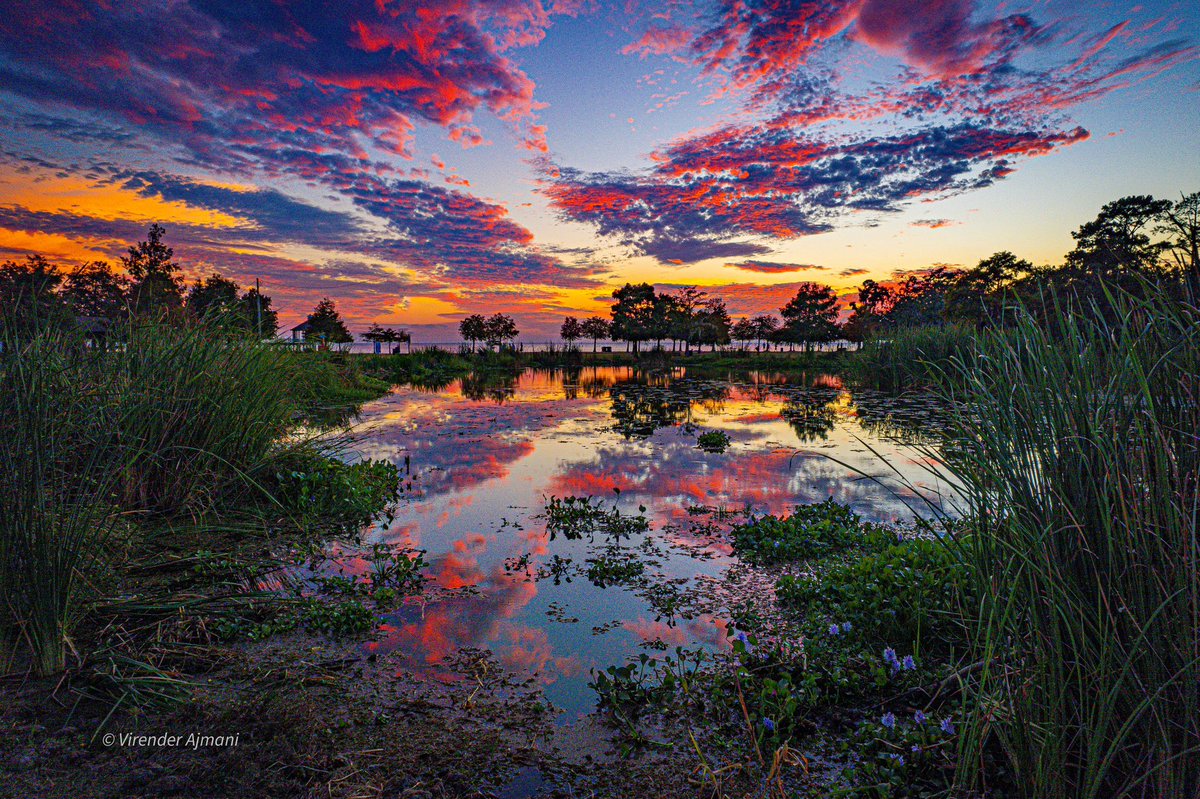 One of my fav sunset photo - a painting like look - Fontainebleau State Park (August 2022) #mandeville #louisiana #visitthenorthshore