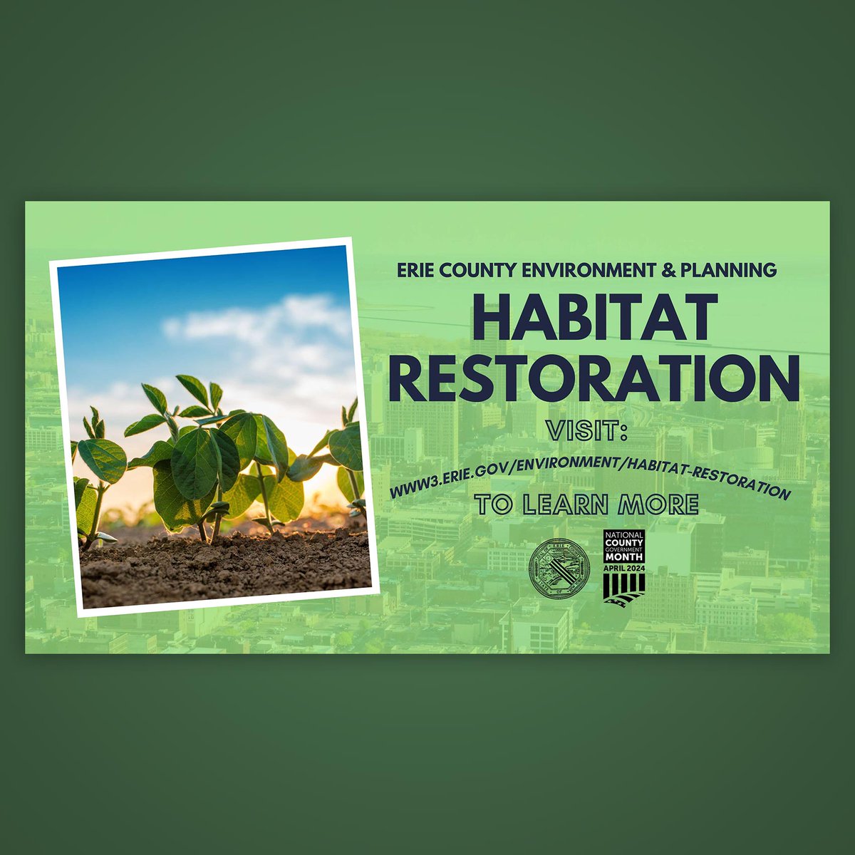 Throughout this #NationalCountyGovernmentMonth we're highlighting important programs. Today's focus: Habitat Restoration. Did you know Erie County works w/ community partners to restore shoreline ecosystems in our parks?

More at: www3.erie.gov/environment/ha…

#NCGM
@ErieCountyParks