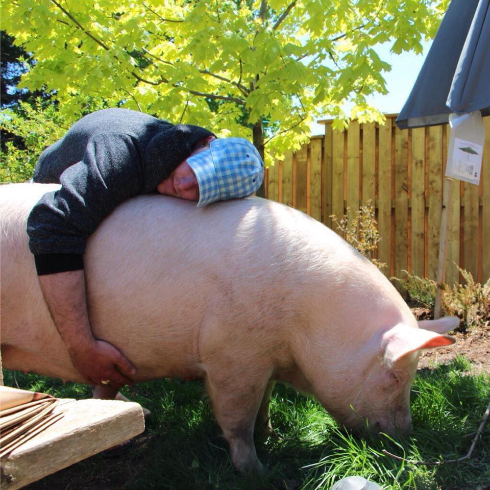 Mikotosenpai3's tweet photo. « Ancrée à ton porc » https://t.co/qh5L6SpEck