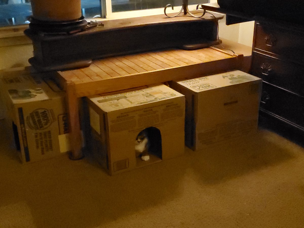 SokoBarre's tweet photo. @CogitoErgoWtf Frankie's "Cat Castle" under this coffee table has a smaller box inside we brought home from the shelter and a heated fleece bed too. 

It also has exits on either end. He zips in and out, and back and forth. Once exhausted he takes a long nap! 😻
#Catcastle #cats #CatsOfTwitter https://t.co/pXipLRUmxk