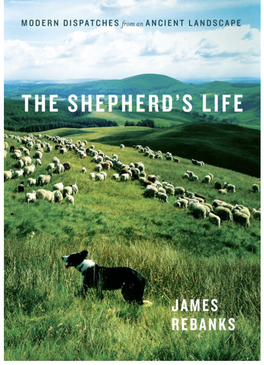 Do yourself a favour.
Read ‘A Shepherds Life’ by James Rebanks.
History, farming, survival, humanity, family, and progress.
And sheep.
This is a very inspiring book.
If you don’t read the book, follow @herdyshepherd1 
Time well spent.