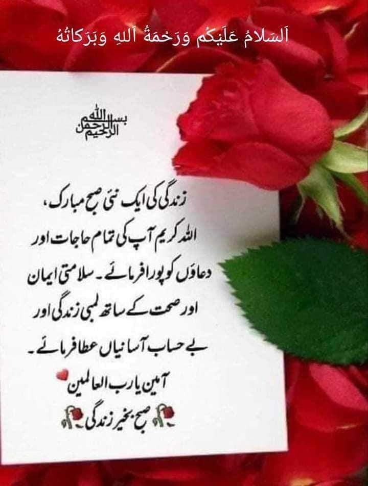 Subha bakhair 
Good morning friends