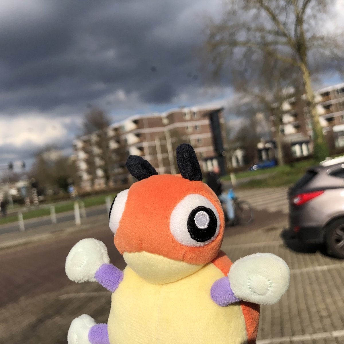 Someone must have used Rain Dance...

#LedybaSnap #PokemonSnap #Pokemon #PokemonGo #Ledyba #Rediba #レディバ #ポケットモンスター #Eindhoven