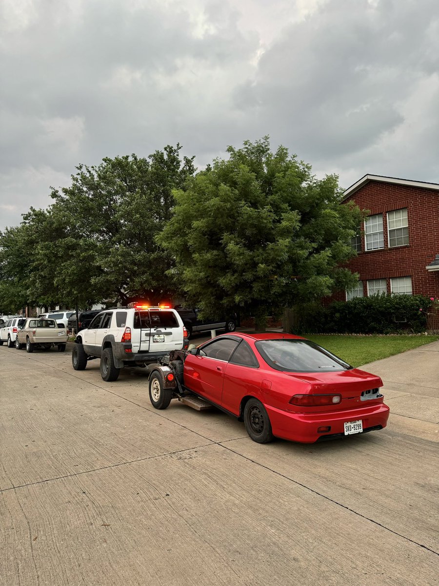 the daily and the project
