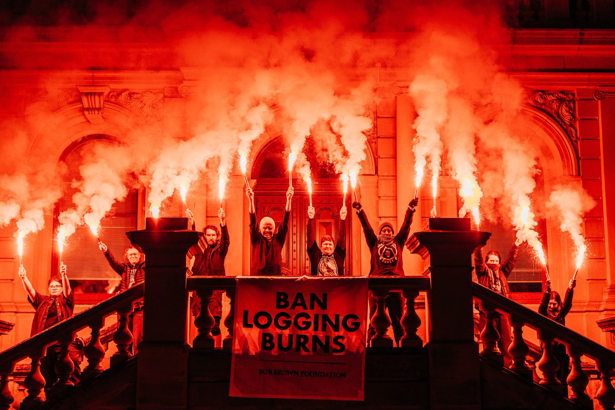 ⚠️Forest defenders set off flares in powerful protest in Hobart against the incineration of native forests in state-sanctioned logging burns. These fires damage the climate, kill wildlife and harm human health.  
Just launched - forestwatch.org.au
 #Politas #BanLoggingBurns