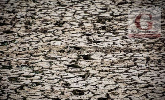 Sequía y calor impactan en nivel de agua en laguna de Acuitlapilco

Vía: Edgar Hernández | EsImagen Tlaxcala