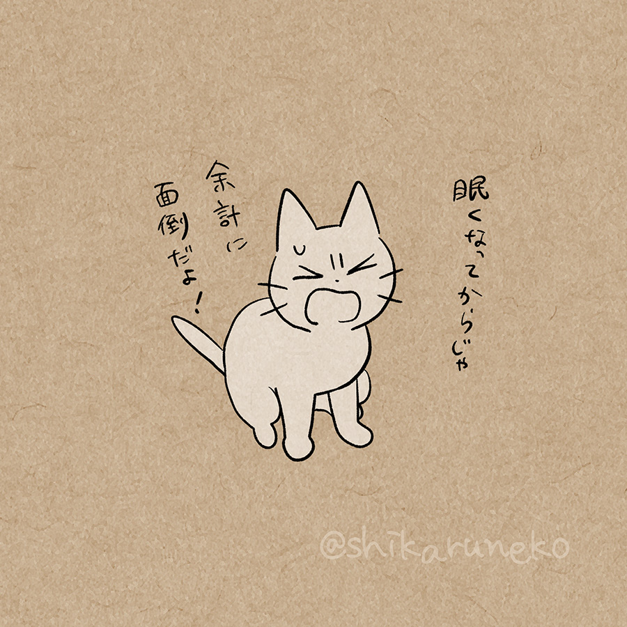 寝支度が面倒という理由でなかなか寝ない人を叱ってくれる猫 