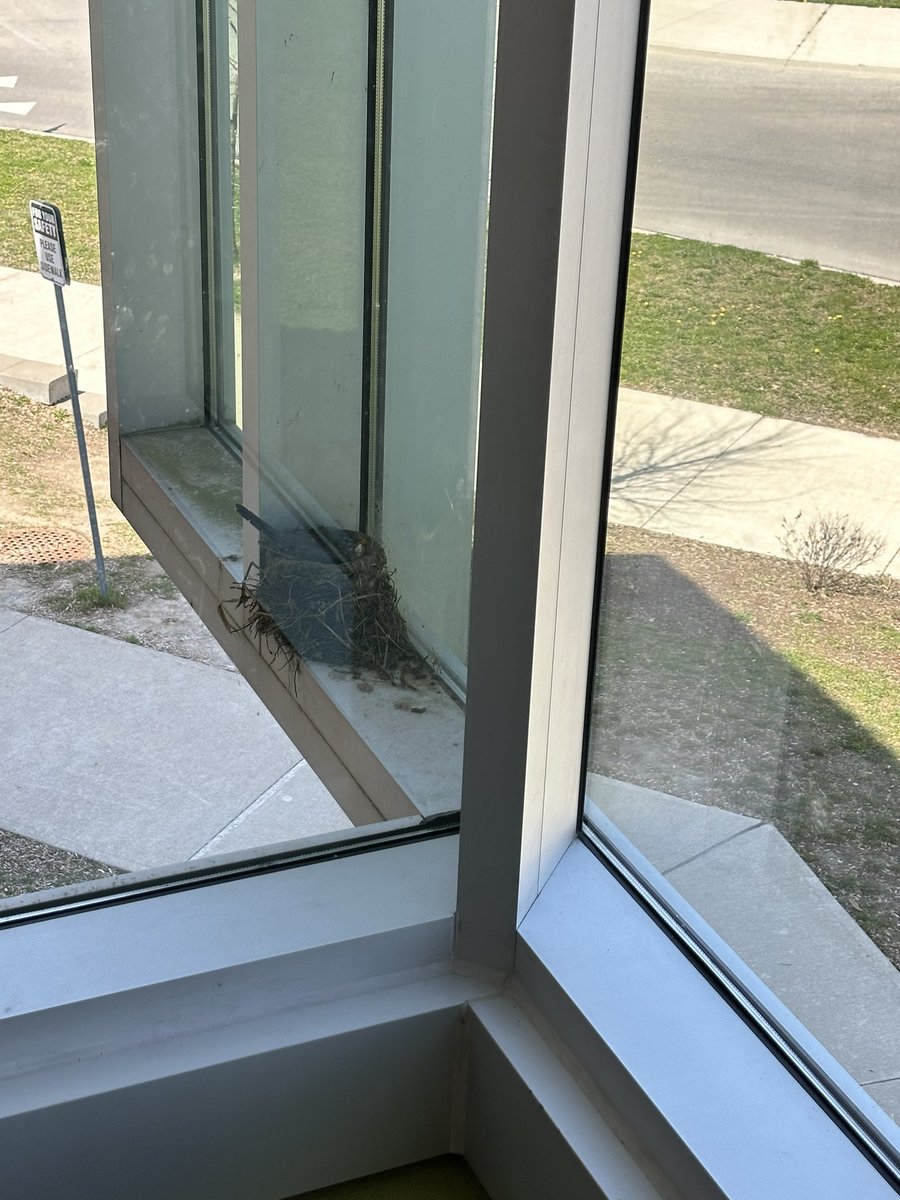 A new visitor to the library! 🐦🪺