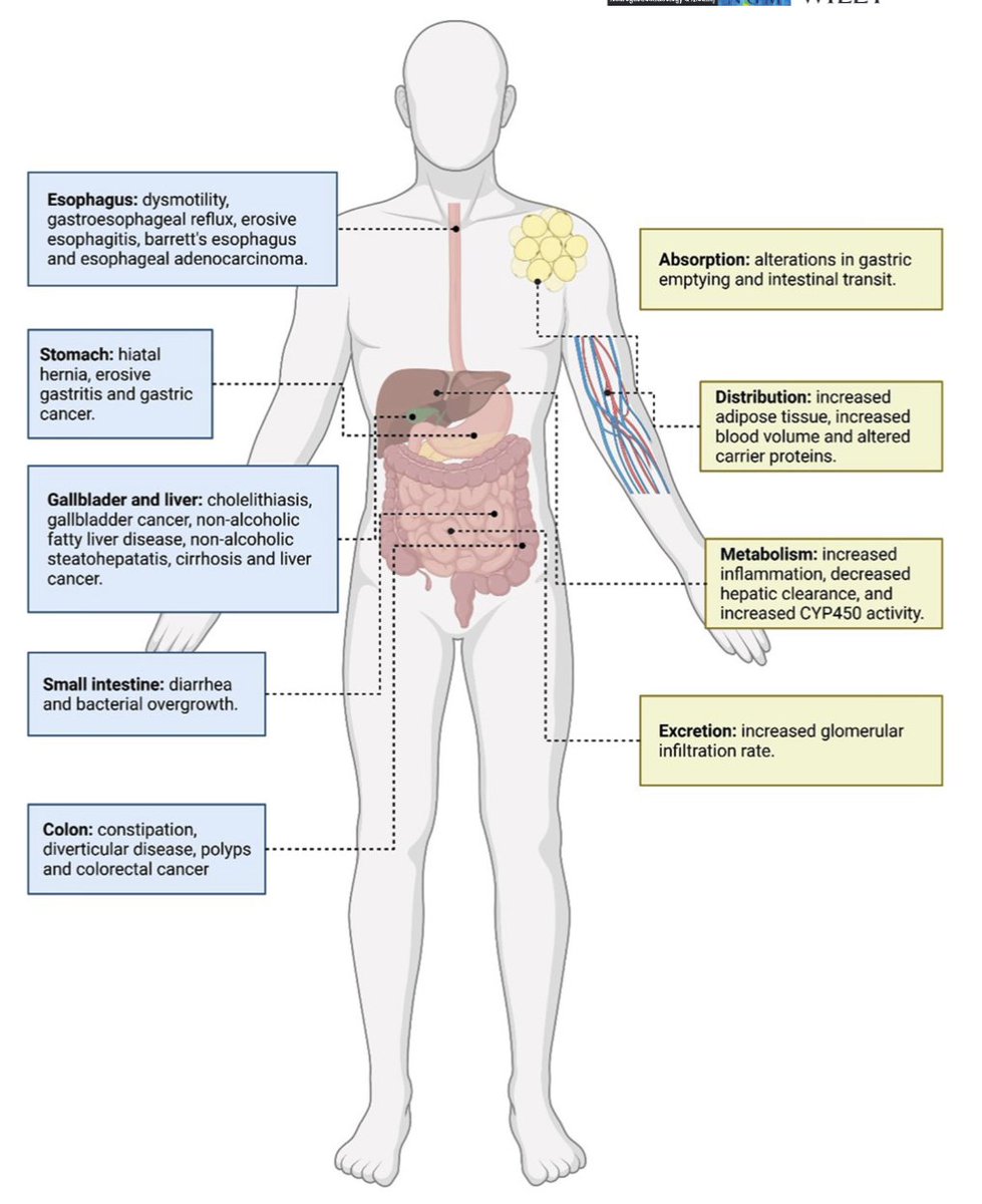 @maura_corsetti @IBS_Maastricht @DrCJBlack @AndreaShin_GI @mpj61 @VorkLisa @ThisIsButt @Pierfra_Visaggi @Rajan___Singh @ANMSociety @esnm_eu @SSrinivasanMD @karagm2009 @DrvanTilburg @BMoshiree @jfcryan @KashyapPurna @BeyderLab @mgrover_gi Fascinating review🔥 ⚡️Understanding the #GI tract in #obesity: From #GutMotility patterns to Enzyme secretion‼️ Effect of obesity on #Acid secretion #Motility #Enzyme secretion 👉onlinelibrary.wiley.com/doi/full/10.11… @TARGID_KULEUVEN @KU_Leuven 👏 @ANMSociety @esnm_eu #GITwitter #MedTwitter