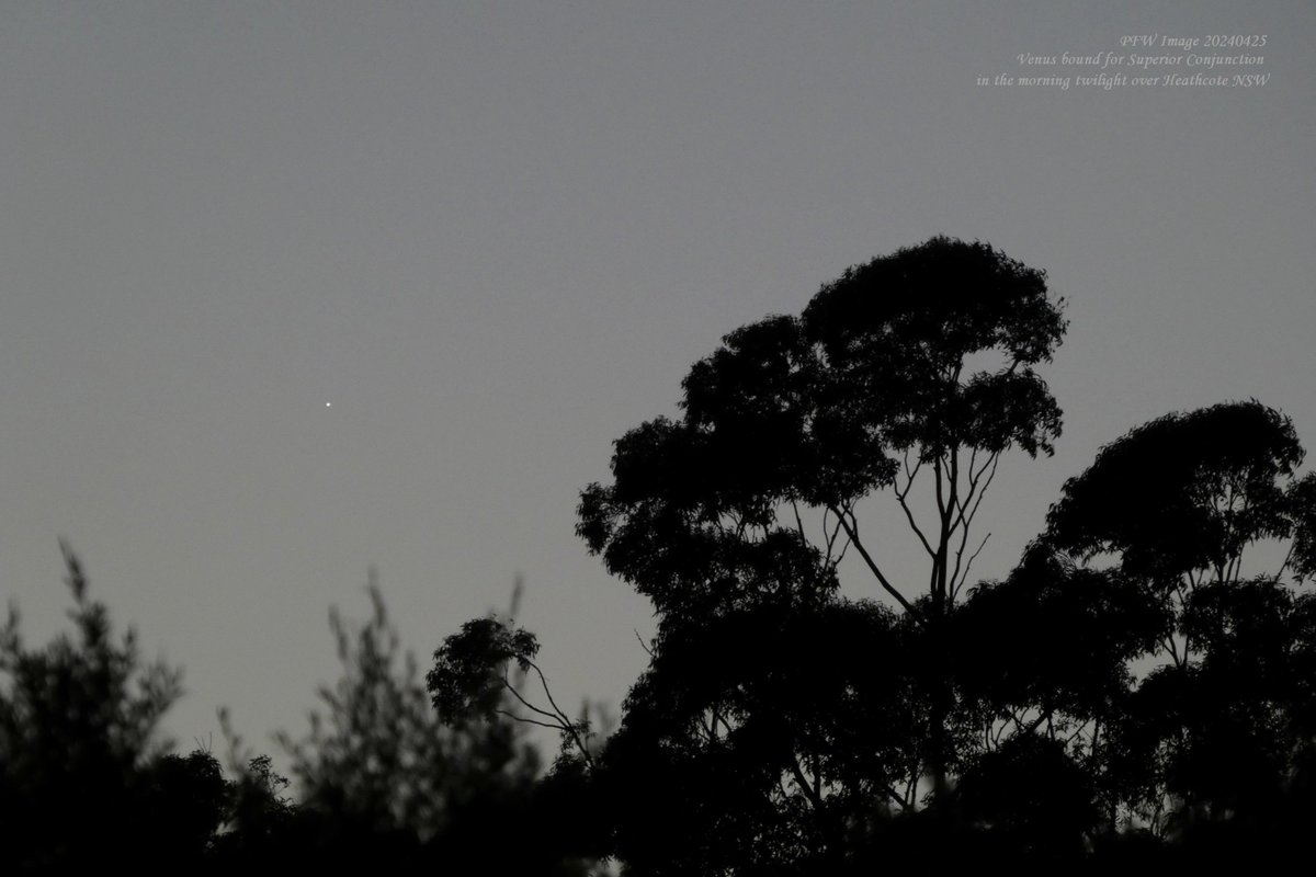 The planet #Venus is now a difficult object in the bright morning twilight as it moves towards its 05 June Superior Conjunction on the far side of the sun. It will then re-emerge into the evening sky. #nature #SydneySkies