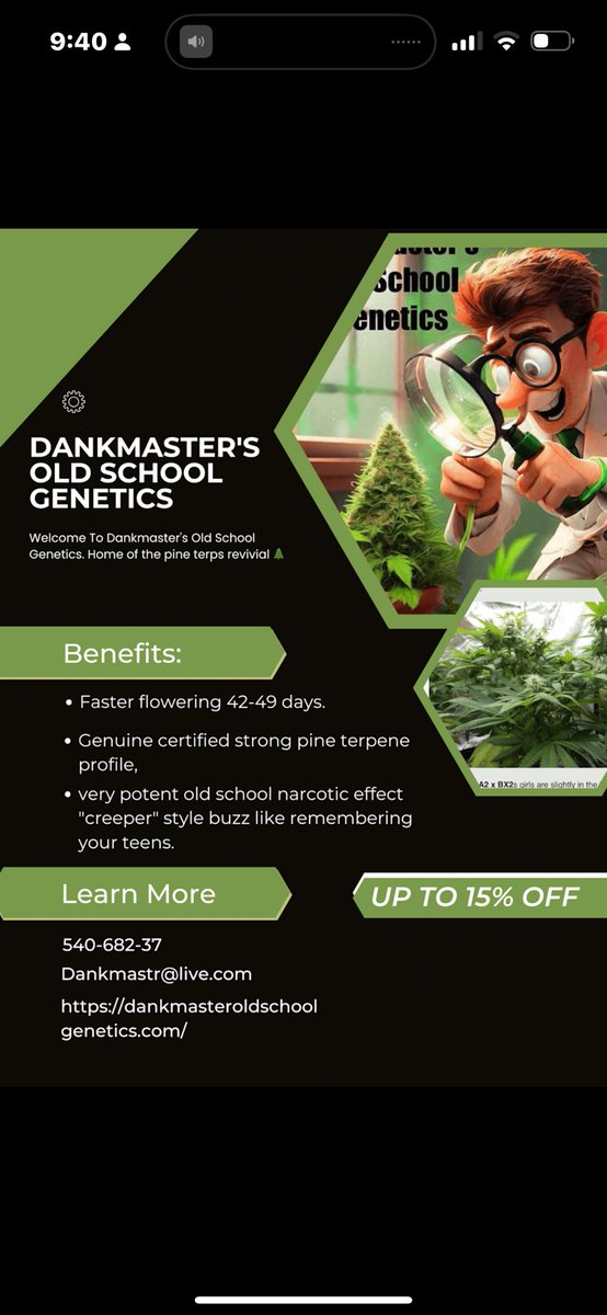 Getting a flyer made now to do a promotional campaign. Making a broad reach to find the 'pine searchers' looking for their old school youth 

 #Growmies #StonerFam #weedgrow #CannabisCommunity #cannabisgrower #CannaLand #cannabreeder #420community