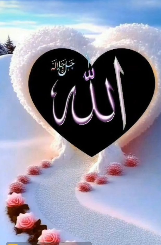 Assalamualaikum ❤️❤️ Good morning 🌅🌅 Will you reply my salam 🌺🌺