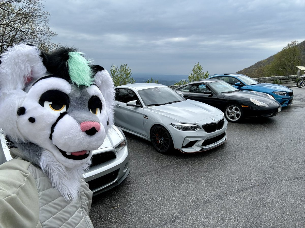 Being a cat with other homosexuals in some of the best driving roads in the world. My happy place.