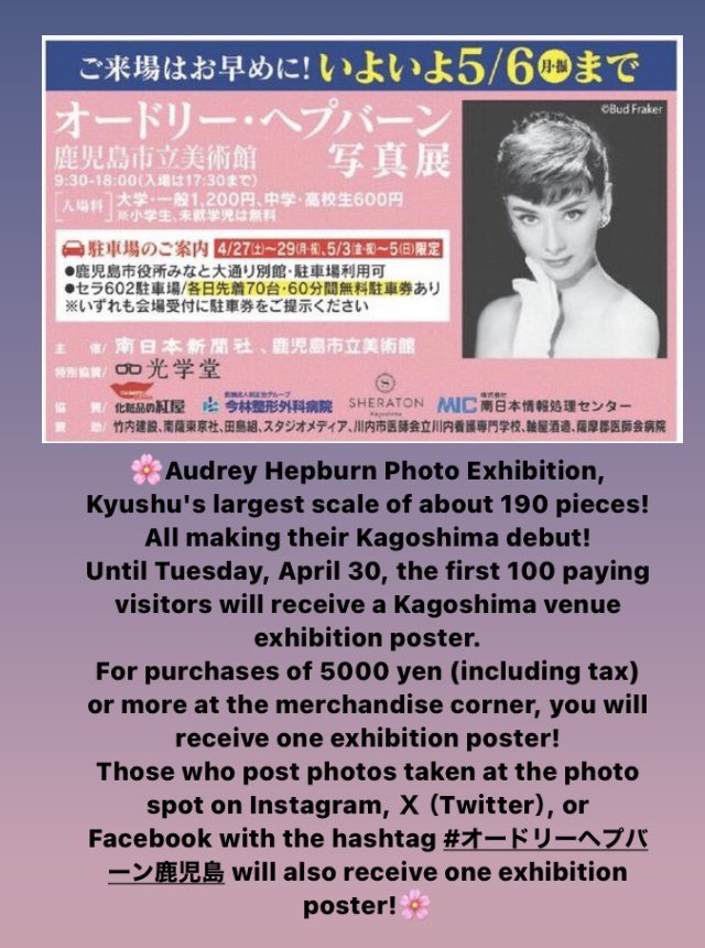 🌸本日も多くのご来場をお待ちしています☺️
The Audrey Hepburn Photo Exhibition is now open! We look forward to seeing you!
#audryhepburn #HepburnLegacy #BreakfastAtTiffanys #MyFairLady #RomanHoliday #Sabrina #AudreyIcon #FashionIconAudrey #kagoshima #sakurajima
 #南日本新聞 #桜島