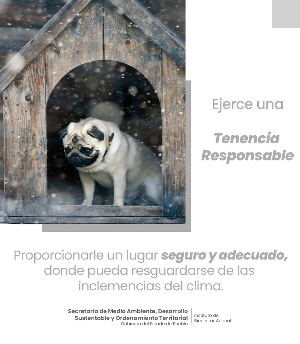 Demuestra tu compromiso con el bienestar animal y bríndale a tu animal de compañía🐶🐱 un entorno adecuado y seguro🏠❤